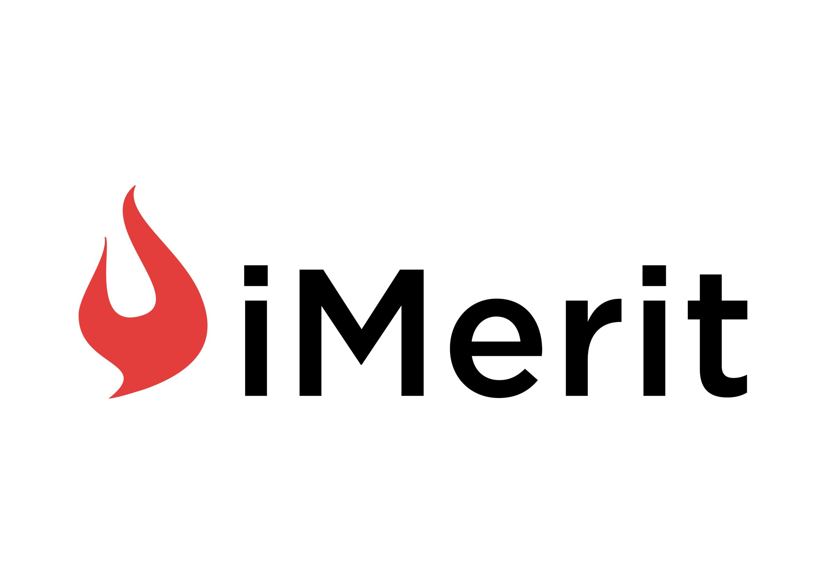 iMerit Technology